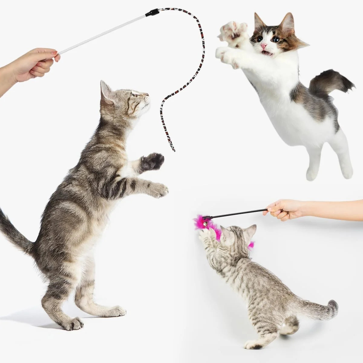 37 PCS Cat Toys, Interactive Kitten Toys for Indoor Kitty, Variety Catnip Toy Set Including Collapsible Cat Tunnel Tube Tent