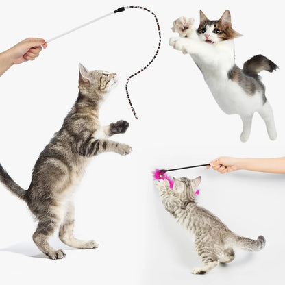 37 PCS Cat Toys, Interactive Kitten Toys for Indoor Kitty, Variety Catnip Toy Set Including Collapsible Cat Tunnel Tube Tent
